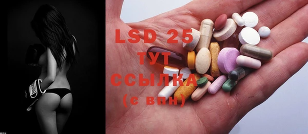 ECSTASY Бородино
