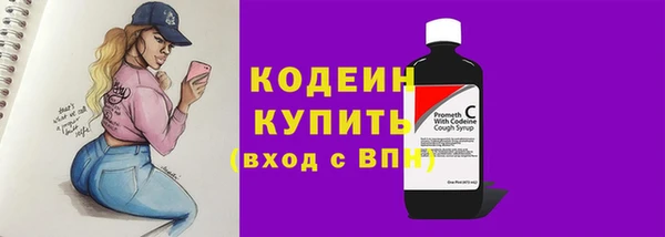 ECSTASY Бородино