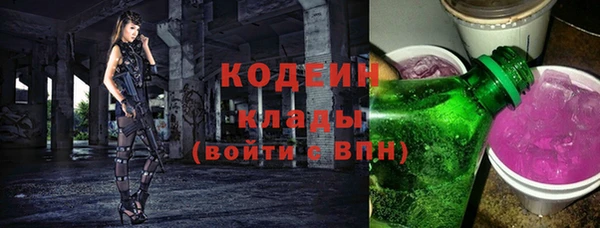 ECSTASY Бородино